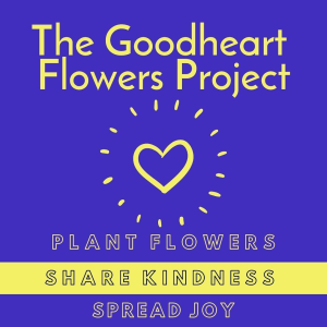 @fullcirclefarmsflowers in Penns Valley has a project for you!⁣
⁣
The Goodheart Flowers project provides flower transplant kits to local gardeners in Centre County—small flower plants ready to plant in your garden, along with guidance on how to take care photo
