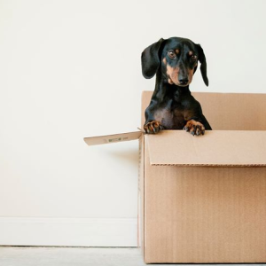 Moving can be an extremely stressful time. Make it a little easier on yourself by using some of these hacks during your next move photo