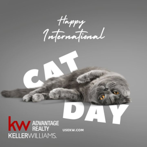 We hope you're having a paws'itively purrfect day on International Cat Day. photo